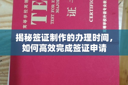 万年揭秘签证制作的办理时间，如何高效完成签证申请